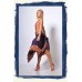 Milla azul skirt